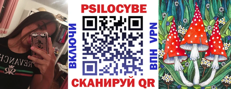 наркотики  Волжск  Псилоцибиновые грибы Cubensis 