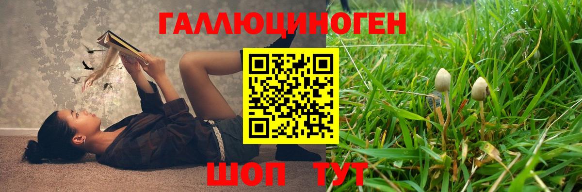 Псилоцибиновые грибы MAGIC MUSHROOMS  Вход с VPN  Псилоцибиновые грибы прущие грибы  Волжск 
