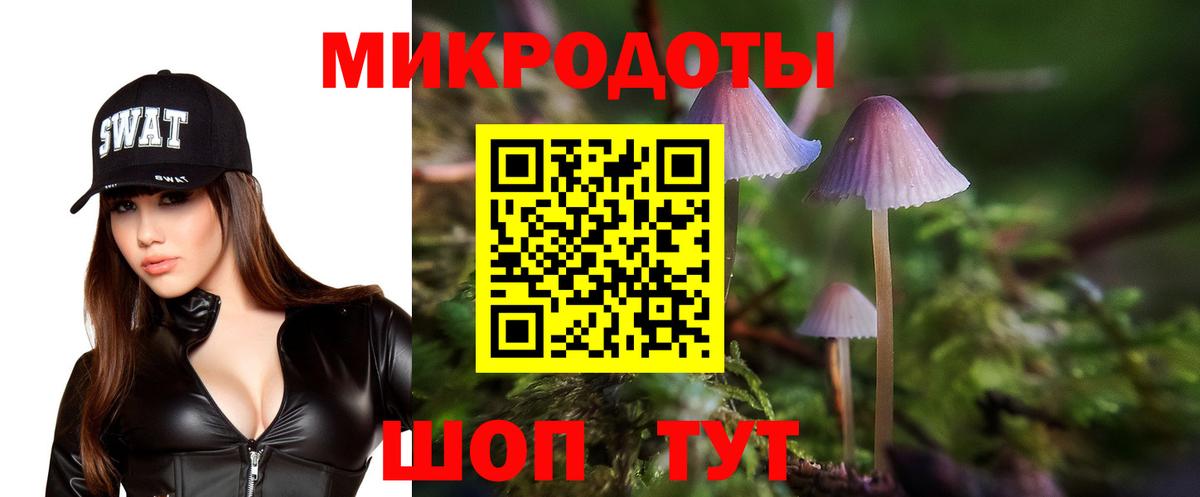 Галлюциногенные грибы Psilocybine cubensis Волжск