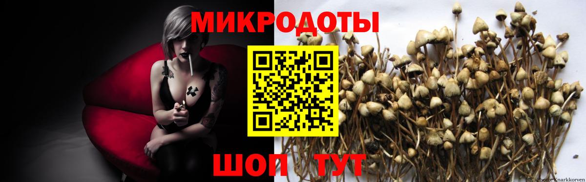 Псилоцибиновые грибы MAGIC MUSHROOMS Волжск